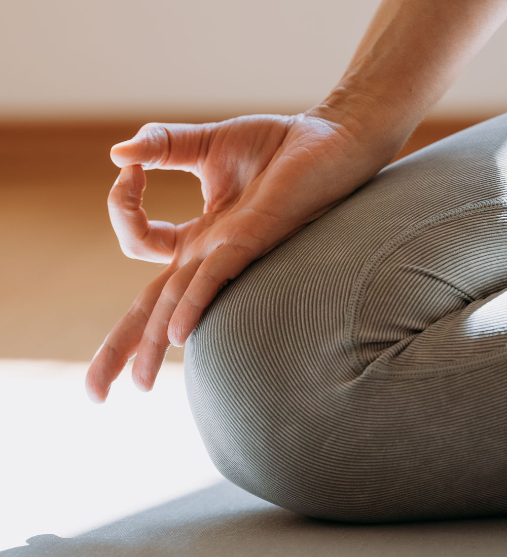 Holistic-lifestyle-advice Watson Health Home