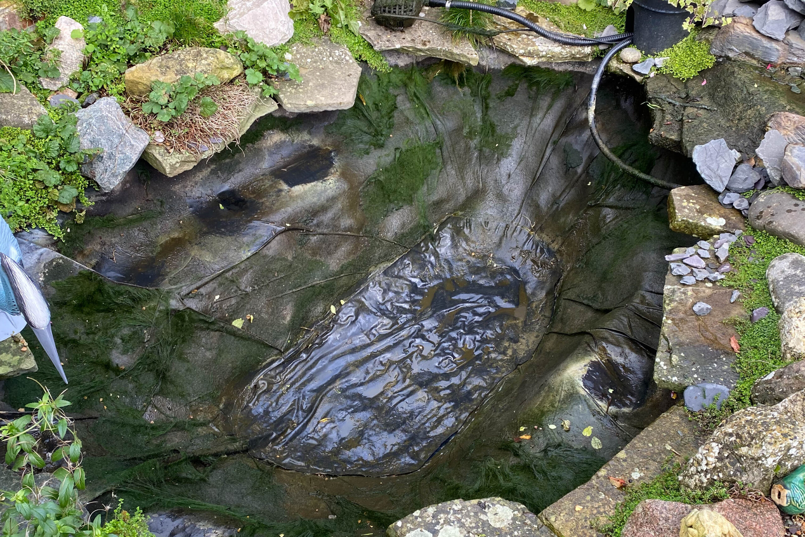 LilyPad Pond Reline, Rainham 05