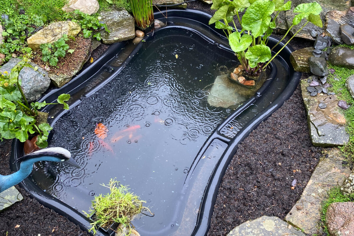 LilyPad Pond Reline, Rainham 05