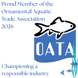 OATA-Website