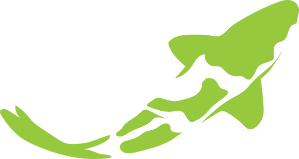LilyPad koiCarp-graphic-green01